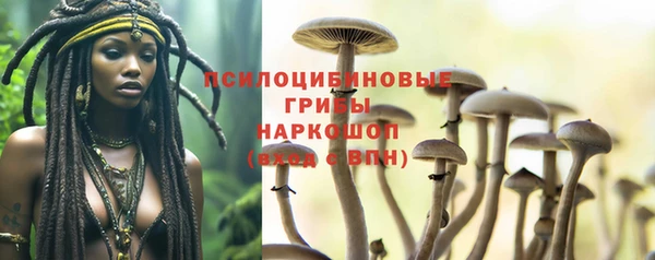 спиды Армянск