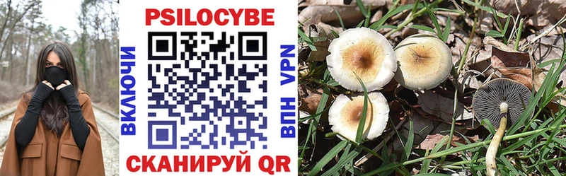 купить  цена  Усть-Илимск  Галлюциногенные грибы MAGIC MUSHROOMS 